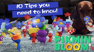 Pikmin Bloom Tips and Tricks [upl. by Nahsez]