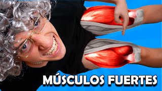 5 Rutina de Ejercicios para fortalecer los MÚSCULOS en adultos mayores [upl. by Patience]