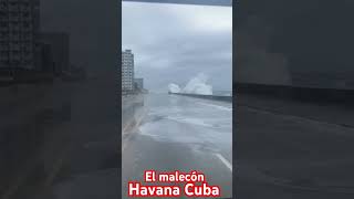 🔴TORMENTA el Malecón Havana CUBA 🇨🇺 cuba shorts subscribe havana travel [upl. by Ulrika32]