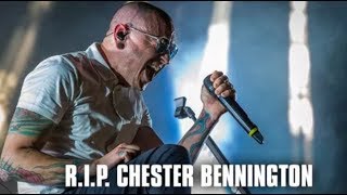 AMIR  NUMB HOMMAGE A CHESTER BENNINGTON CHANTEUR DE LINKIN PARK [upl. by Hollie]