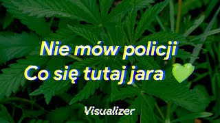 🌿NIE MÓW POLICJI CO SIĘ TUTAJ JARA🌿Visualizer🌿 [upl. by Ahsinan585]