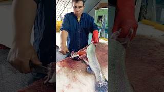 No boning of salmon and roe fishcutting [upl. by Haleehs214]