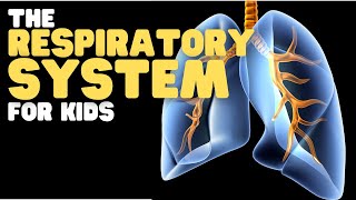 The Respiratory System for Kids [upl. by Madigan]