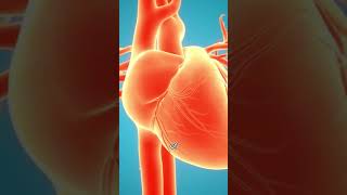 Shocking Truth About Clogged Arteries What You Need to Know  FitBuzz [upl. by Anidam]