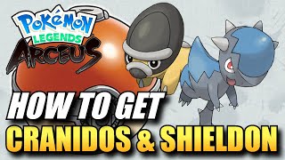 Pokemon Legends Arceus  How To Get Cranidos amp Shieldon  Cranidos amp Shieldon Location [upl. by Rebeca]