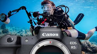 Canon R5 Specifications and Underwater Performance  Canon R5 AZ [upl. by Anoi]