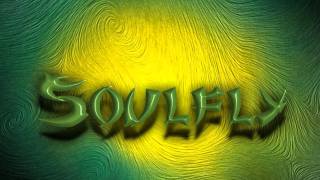 SoulflyRefuseResist [upl. by Aicilef546]