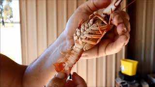 How to cook yabbies [upl. by Karp]