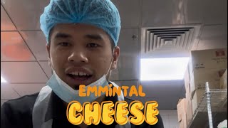 Process of cutting Emmental cheese with mechineitalianfood [upl. by Leryt113]