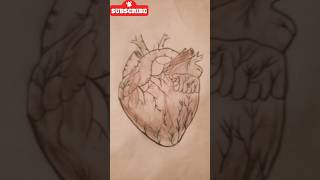 How Your Heart REALLY Works Anatomy amp Physiology [upl. by Dronel]