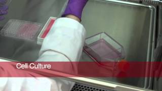 Foodborne Illness Outbreak Investigation Behind the Scences [upl. by Elinet]