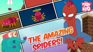 How Amazing Are Spiders  The Dr Binocs Show  Best Learning Videos For Kids  Peekaboo Kidz [upl. by Koss]