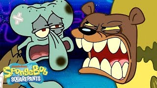 The Sea Bear Attacks Squidward SpongeBob amp Patrick 🐻 SpongeBob SquarePants [upl. by Nnyladnarb]