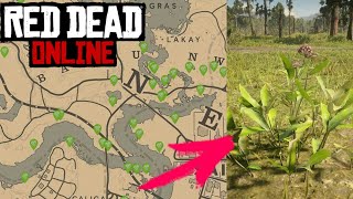 Asclepias Recogidas  Red Dead Redemption 2 Online  Desafios Diarios [upl. by Jules]