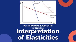 Arc Elasticity vs Point Elasticity  Interpretation of Elasticity [upl. by Dopp824]