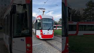 ZVONÍM ZVONKEM BRNĚNSKEJ DVOJ DRAK dpmb tramvaj tram brno [upl. by Otaner]