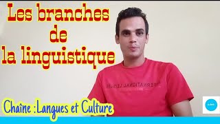 Les branches de la linguistique Introduction à la linguistique [upl. by Animas]