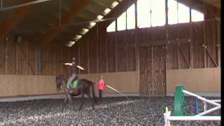 Ginnastica a cavallo al trotto [upl. by Ebner]