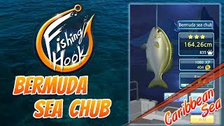 Fishing Hook game for Android Lv 50  Caribbean Sea  Bermuda Sea Chub Fish [upl. by Nehte]