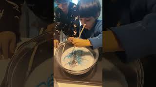 Etch n sketch in real life using soap water foodcoloring [upl. by Lleynad]