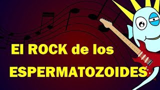 El Rock de los Espermatozoides y el Óvulo  Julinky [upl. by Javier]