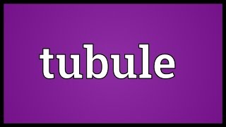 Tubule Meaning [upl. by Theurer]