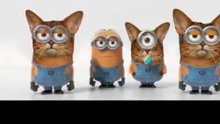 Minion Banana Song With Cat Edition [upl. by Arted237]