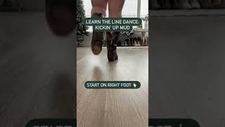 Learn the Line Dance Kickin Up Mud [upl. by Hamrnand]