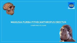 SEJARAH  Manusia Pubra Pithecantropus Erectus [upl. by Coleman]