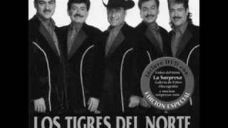 causame la muertelos tigres del norte [upl. by Dowell]