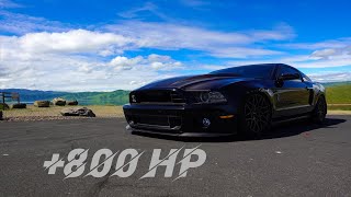 Drove 300 Miles To Pick Up A 800hp 2013 Shelby GT500 Cammed [upl. by Nahgeam785]