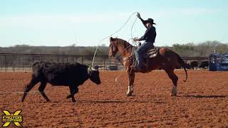 JR Dees Team Roping Practice Session  X Factor Team Roping [upl. by Vinia]