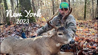 Big Farm Buck New York Whitetail Deer Hunting  Opening Day 2023 [upl. by Diogenes]