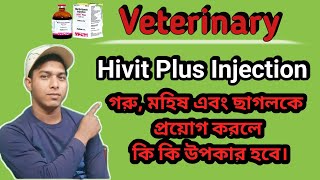 Veterinary Hivit Plus Injection গরু মহিষ এবং ছাগলকে প্রয়োগ করলে কি কি উপকার হবে।farming [upl. by Schaffer115]