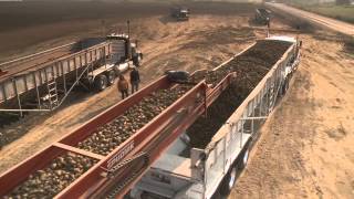 Potato Transloading Station [upl. by Tarra]