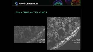 Maximizing Sensitivity The Impact of BSICMOS and ImageProcessing in Scientific Imaging [upl. by Caasi411]