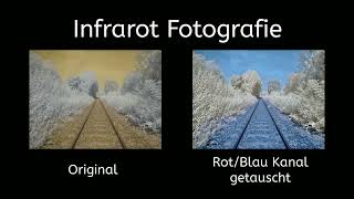 Infrarot Fotos Vergleich Original  RotBlau Kanaltausch [upl. by Gurl]