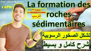 La formation des roches sédimentaires 3ème partie La sédimentation 1ère année international [upl. by Wassyngton]