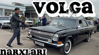 Volga narxlari Toshkent 271024 [upl. by Dlareme]