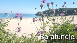 Five wonderful beaches in Pembrokeshire south west Wales [upl. by Aisauqal35]