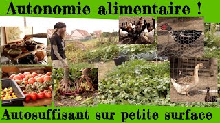 Autonomie alimentaire Être autosuffisant sur petite surface [upl. by Pagas182]