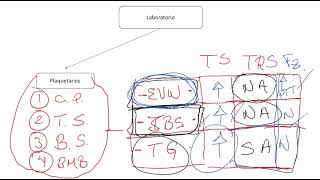 Fisiopatología y Clasifiacion de los Trastornos de la Coagulación [upl. by Asial]