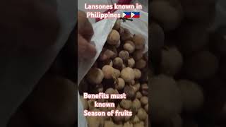 Health benefits of fruit lansones called in Philippines 🇵🇭season fruit lanzones seasonfruit [upl. by Coates]