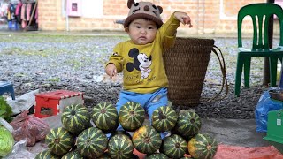 Harvest zucchini and sell it at the market Make a delicious and nutritious steamed egg tomato dish [upl. by Jerrol]