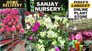 INDIAs Largest Online PLANT Nursery 😍  Sanjay Nursery PUNE [upl. by Parks657]