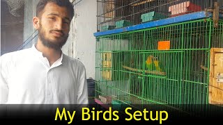 Mera lovebirds ringneck dove aur finches ka setup  my birds setup [upl. by Rivers361]