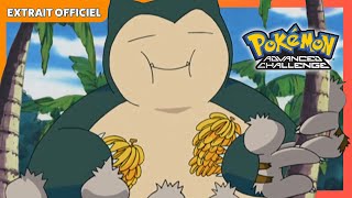 Un Polagriffe sauvage   La série  Pokémon les voyages ultimes  Extrait officiel [upl. by Koa]