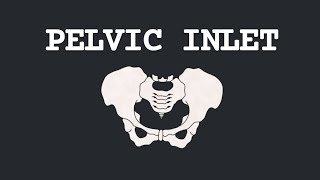 PELVIC INLET [upl. by Enajiram]