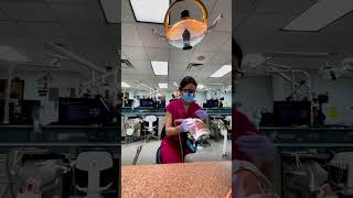 Living Dentistry Through Real Practice MillennialDentist PatientComfort EffectiveAnesthesia [upl. by Annia]