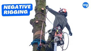 How to rig sections of trunk onto itself  Arborist Rigging techniques [upl. by Shiau]